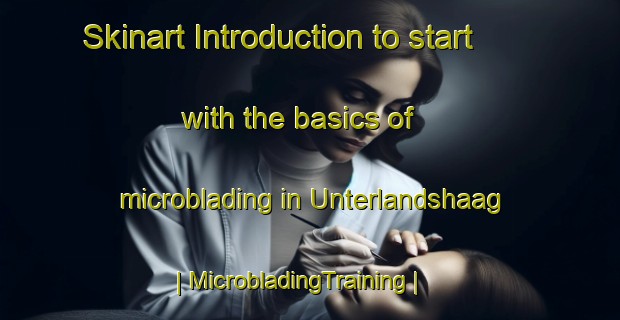 Skinart Introduction to start with the basics of microblading in Unterlandshaag | MicrobladingTraining | MicrobladingClasses | SkinartTraining-Austria